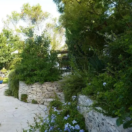 House With Swimming Pool In *