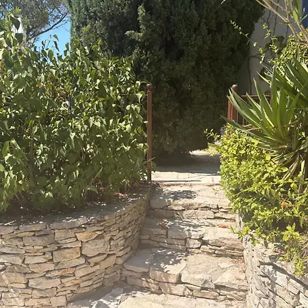 House With Swimming Pool In